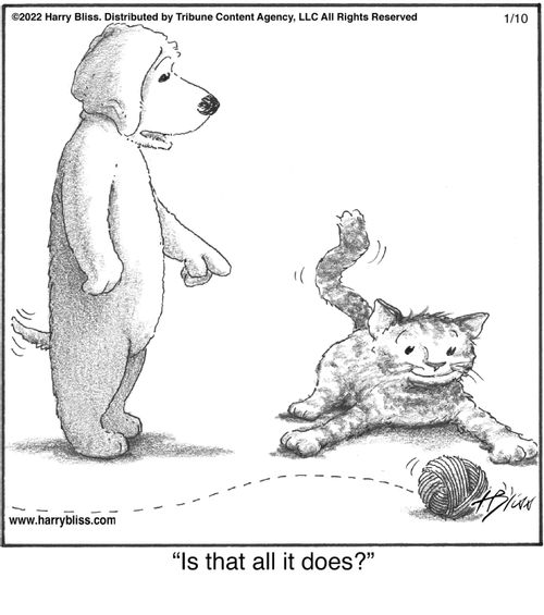 "Is that all it does?"