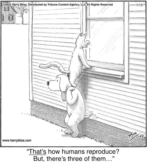 "That's how humans reproduce? But, there's three of them..."
