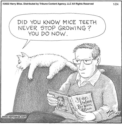 "Did you know mice teeth never stop growing? You do now."