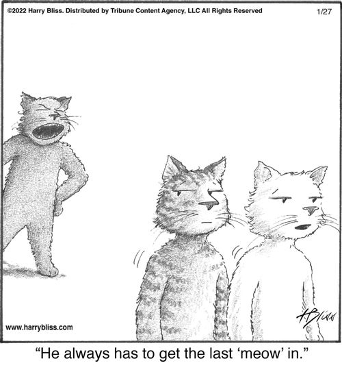 "He always has to get the last 'meow' in."
