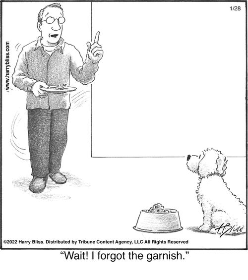 "Wait! I forgot the garnish."