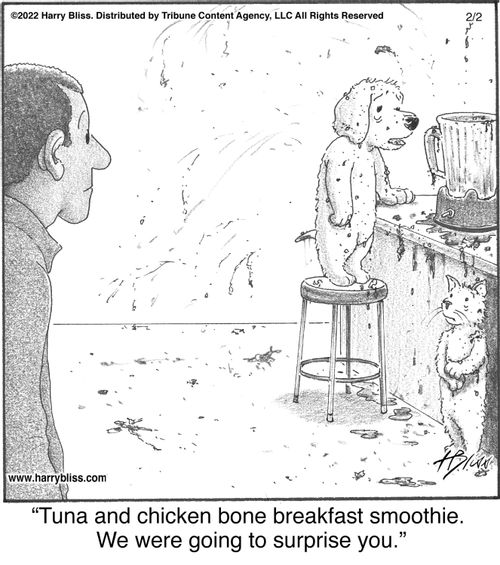 "Tuna and chicken bone breakfast smoothie. We were going to surprise you."