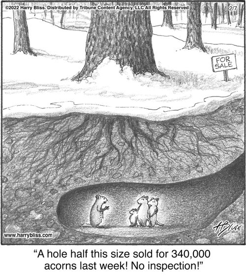 "A hole half this size sold for 340,000 acorns last week! No inspection!"