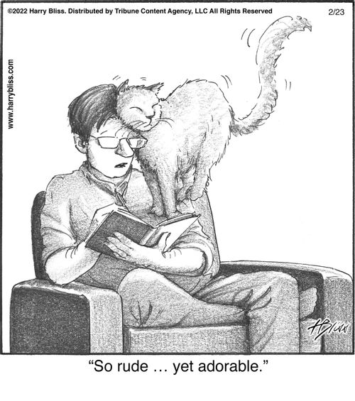 "So rude … yet adorable."