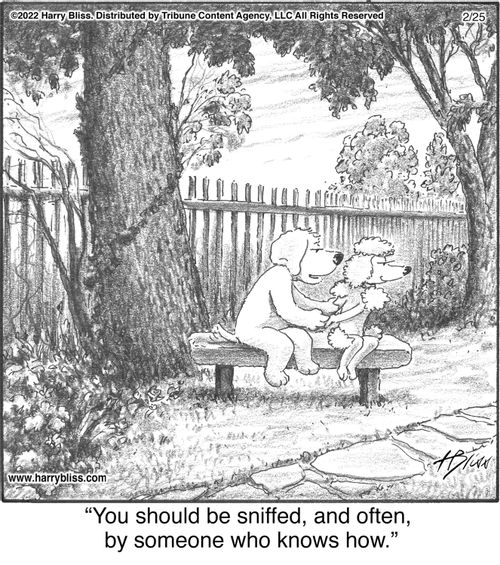 "You should be sniffed, and often, by someone who knows how."