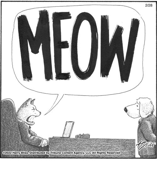 "Meow"