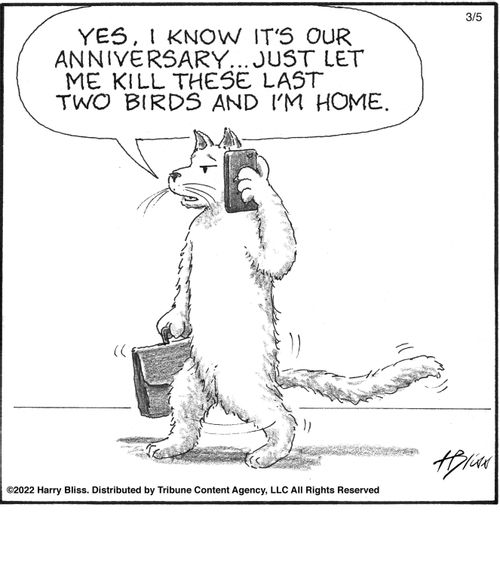 "Yes, I know it's our anniversary… just let me kill these last two birds and I'm home."