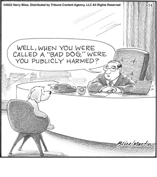 "Well, when you were called a 'bad dog,' were you publicly harmed?"