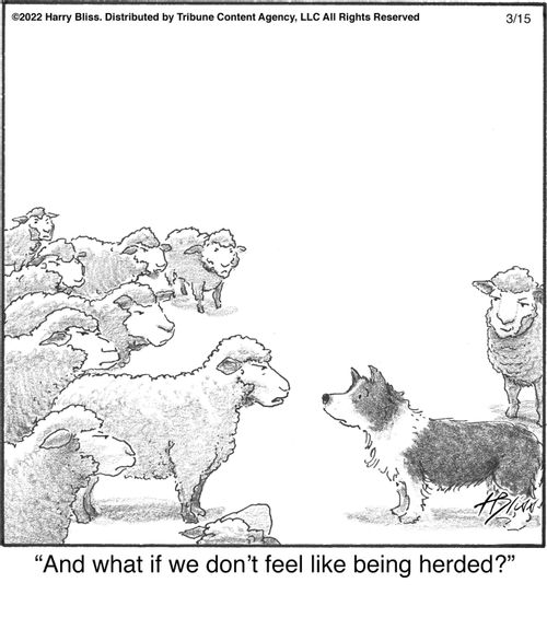 "And what if we don’t feel like being herded?"