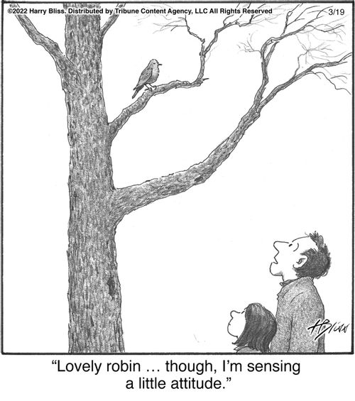 "Lovely robin ... though, I'm sensing a little attitude."