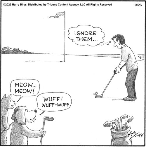 "Ignore them... Meow... Meow! Wuff! Wuff-wuff."