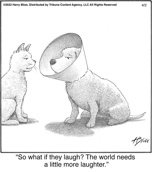"So what if they laugh? The world needs a little more laughter."