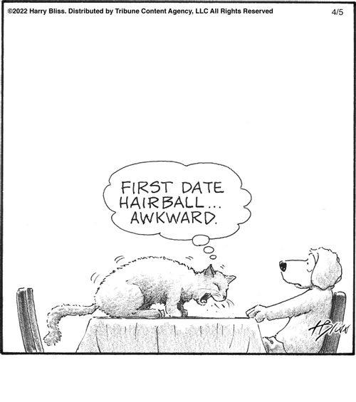 "First date hairball... awkward."