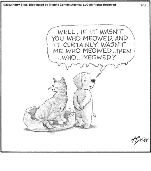 "Well, if it wasn't you who meowed, and it certainly wasn't me who meowed...then...who...meowed?"