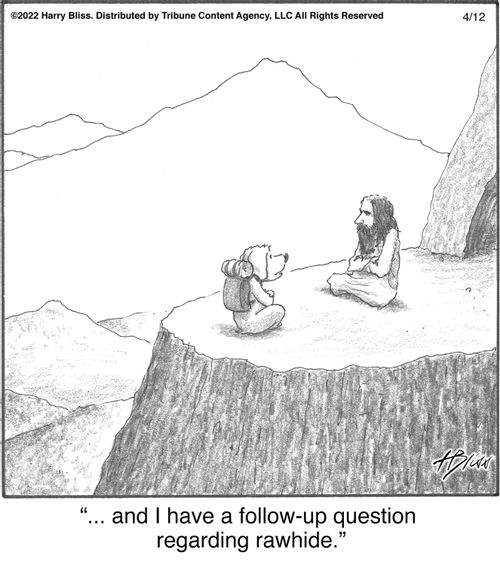 "... and I have a follow-up question regarding rawhide."