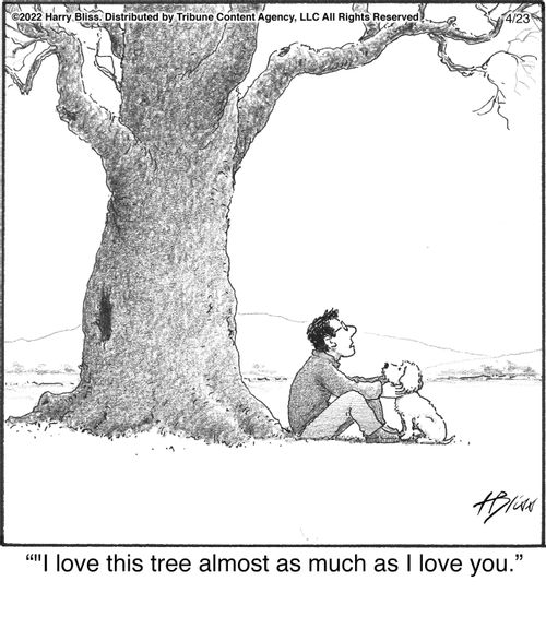 "I love this tree almost as much as I love you."