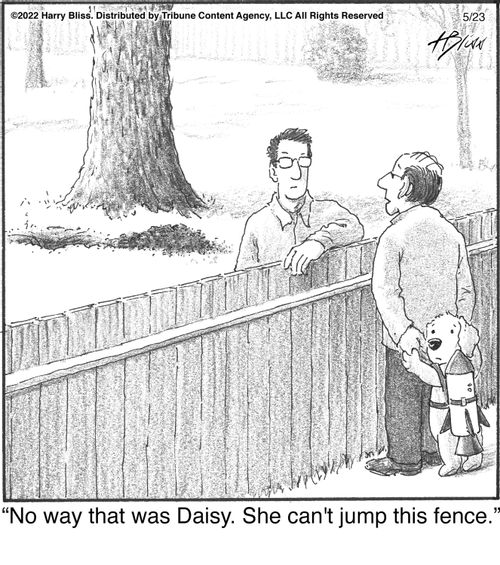 "No way that was Daisy. She can't jump this fence."