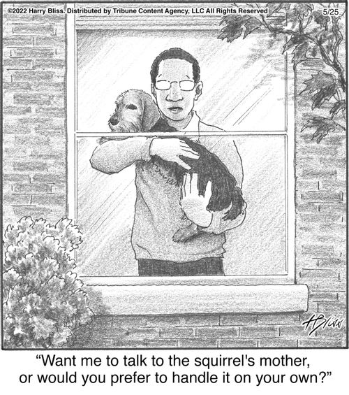 "Want me to talk to the squirrel's mother, or would you prefer to handle it on your own?"