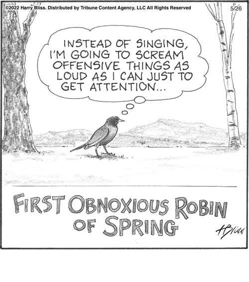 "Instead of singing, I'm going to scream offensive things as loud as I can just to get attention..."