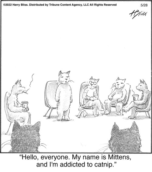 "Hello, everyone. My name is Mittens, and I'm addicted to catnip."