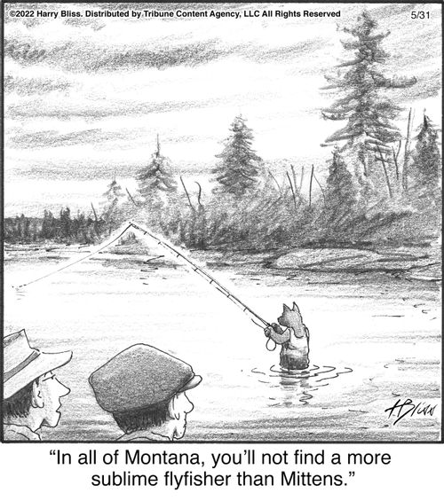 "In all of Montana, you’ll not find a more sublime flyfisher than Mittens."
