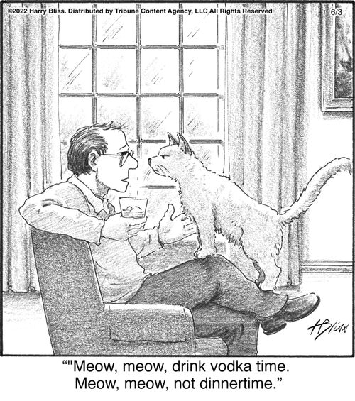 "Meow, meow, drink vodka time. Meow, meow, not dinnertime."