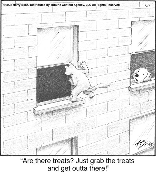 "Are there treats? Just grab the treats and get outta there!"