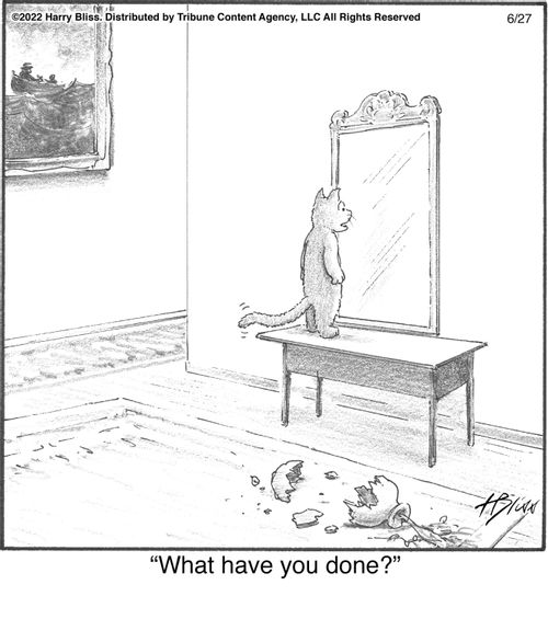 "What have you done?"