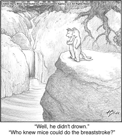 "Well, he didn't drown."   "Who knew mice could do the breaststroke?"