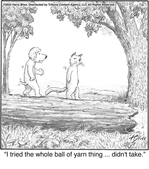 "I tried the whole ball of yarn thing ... didn't take."