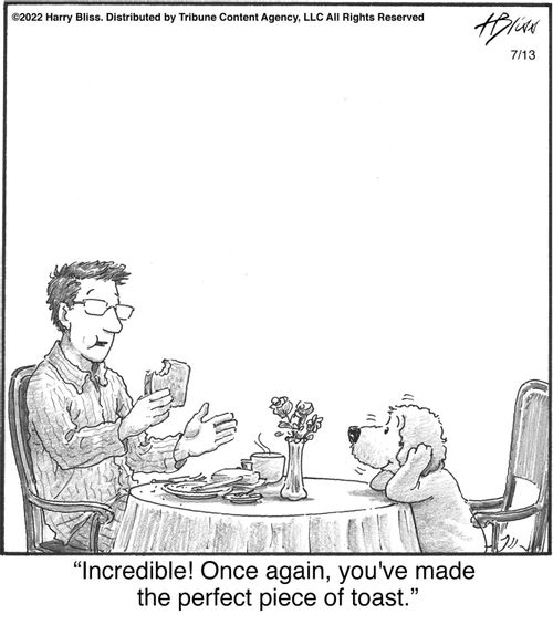 "Incredible! Once again, you've made the perfect piece of toast."