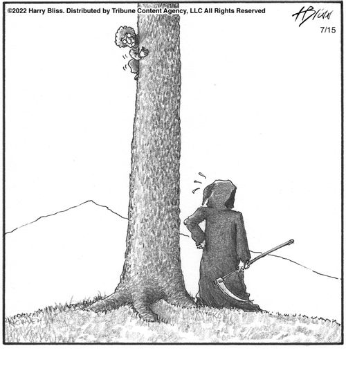 "[Treehouse conference call]"