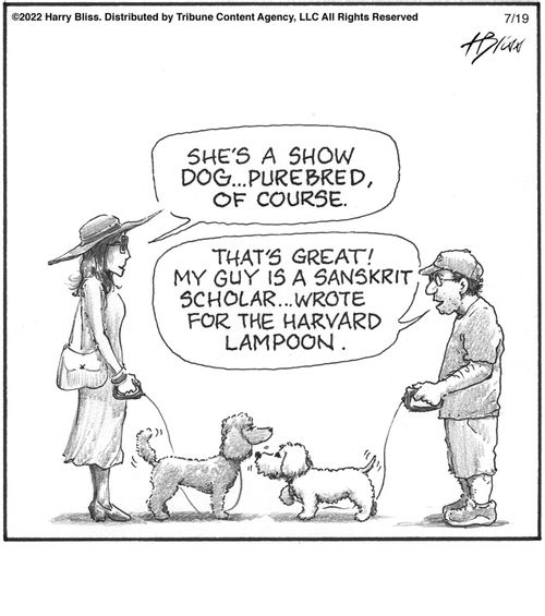 "She's a show dog...purebred, of course."   "That's great! My guy's a Sanskrit scholar...wrote for the Harvard Lampoon."