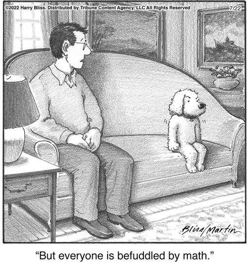 "But everyone is befuddled by math."