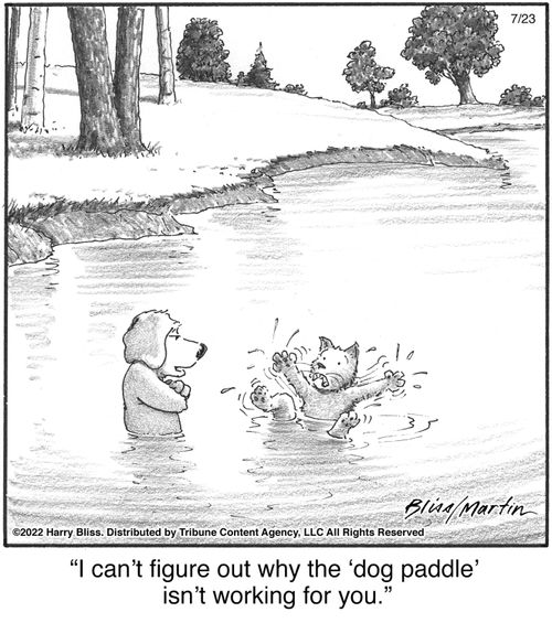 "I can't figure out why the 'dog paddle' isn't working for you."