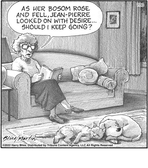 "As her bosom rose and fell, Jean-Pierre looked on with desire... Should I keep going?"