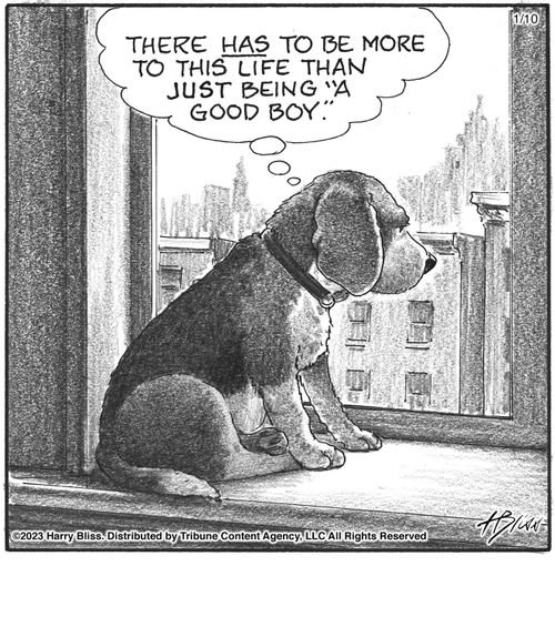 "There has to be more to this life than just being 'a good boy.'"