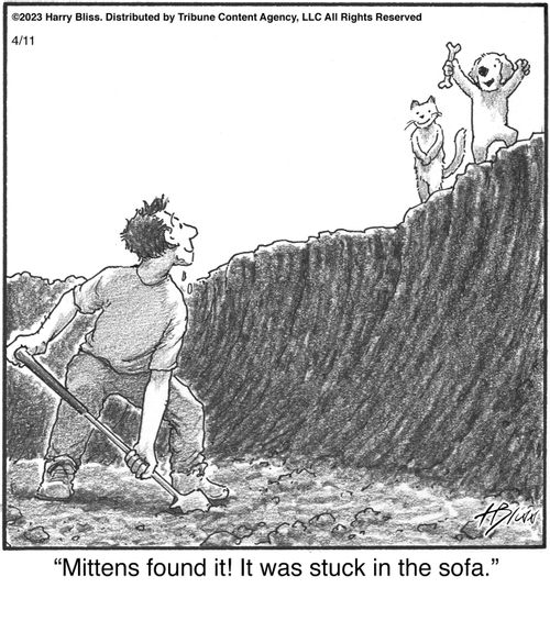 "Mittens found it! It was stuck in the sofa."