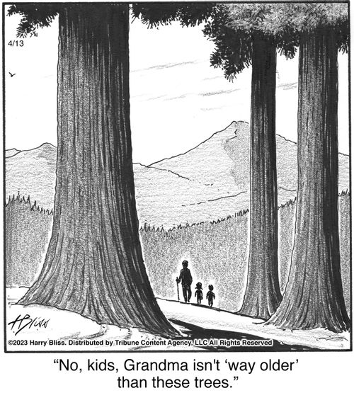"No, kids, Grandma isn't 'way older' than these trees."