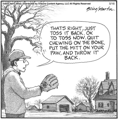 "That's right. Just toss it back. OK to toss now. Quit chewing on the bone, put the mitt on your paw, and throw it back."