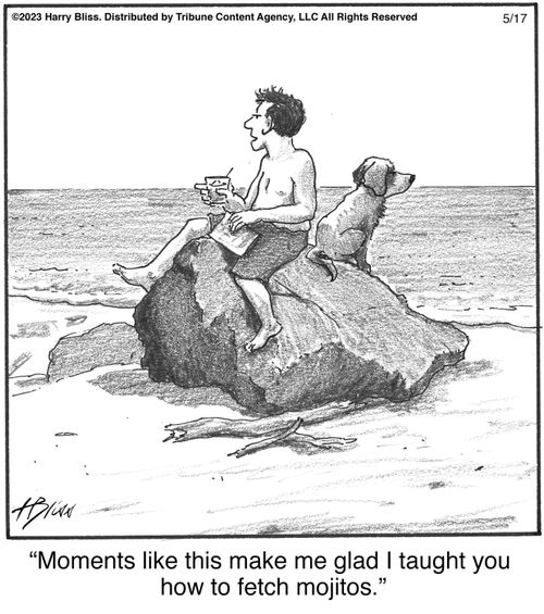 "Moments like this make me glad I taught you how to fetch mojitos."