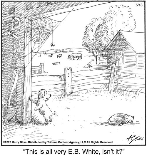 "This is all very E.B. White, isn't it?"