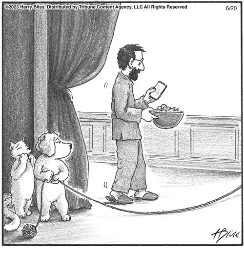"Here comes the quote unquote dog whisperer."