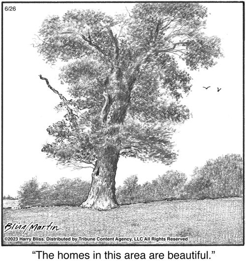 "The homes in this area are beautiful."
