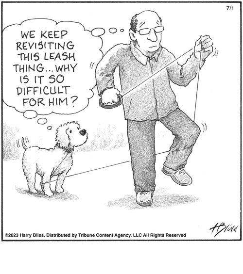 "We keep revisiting this leash thing... Why is it so difficult for him?"