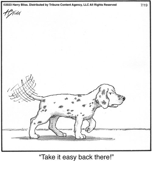 "Take it easy back there!"