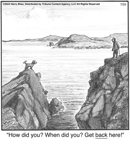 "How did you? When did you? Get back here!"