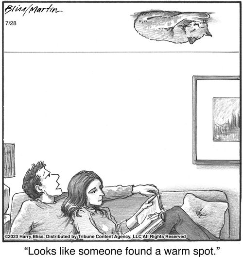 "Looks like someone found a warm spot."