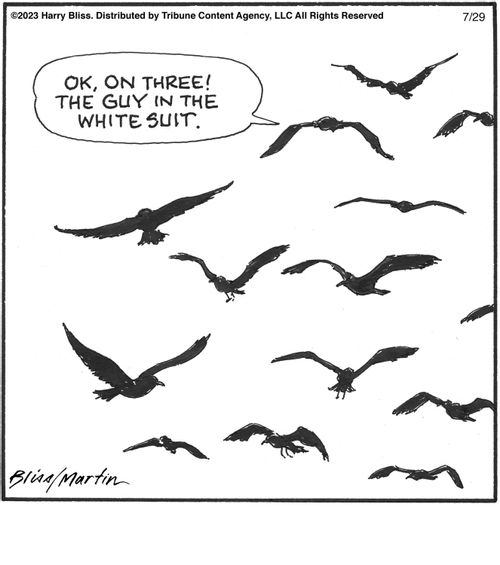 "Ok, on three! The guy in the white suit."