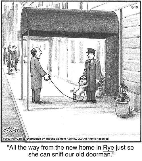 "All the way from the new home in Rye just so she can sniff our old doorman."